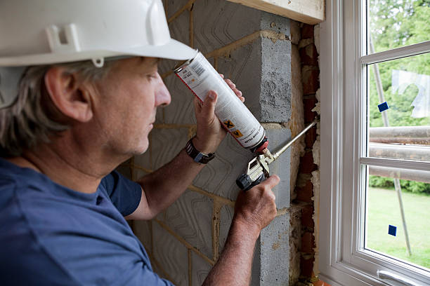 Best Insulation Contractors for Homes  in USA